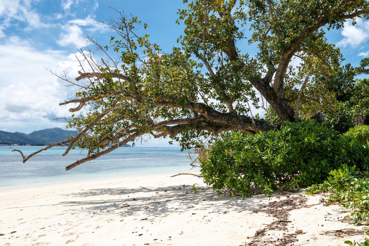 Surf Tropical Villa Seascape Cerf Island Luaran gambar